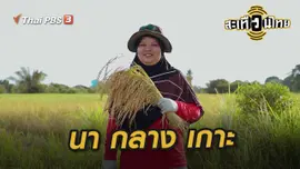 นา กลาง เกาะ