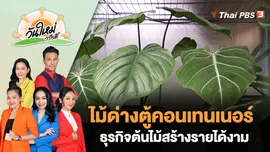 ไม้ด่างตู้คอนเทนเนอร์ ธุรกิจต้นไม้สร้างรายได้งาม | วันใหม่วาไรตี้ | 20 มี.ค. 66