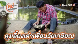 ลุงเลี้ยงเต่าเพื่อนวัยเกษียณ