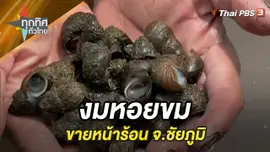 งมหอยขมขายหน้าร้อน จ.ชัยภูมิ
