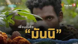 เพื่อนบ้านฉันชื่อ “มันนิ”