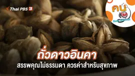 ถั่วดาวอินคาสรรพคุณไม่ธรรมดา ควรค่าสำหรับสุขภาพ