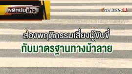 ส่องพฤติกรรมเสี่ยงผู้ขับขี่กับมาตรฐานทางม้าลาย