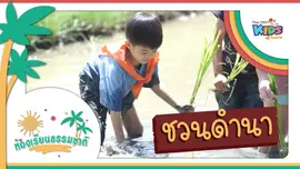 ชวนดำนา