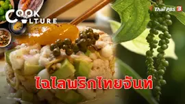 ไฉไลพริกไทยจันท์