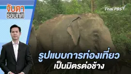 รูปแบบการท่องเที่ยวเป็นมิตรต่อช้าง | จับตารอบทิศ | 13 ก.พ. 67