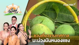 ชวนเที่ยวงานเทศกาล มะม่วงมันหนองแซง | วันใหม่วาไรตี้ | 20 มี.ค. 67