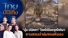 ​"บุ๋ม ปนัดดา" โอดไร่อ้อยจุดไฟเผาลามสวมปาล์มของตัวเอง | ไทยบันเทิง | 22 เม.ย. 67
