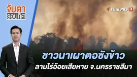 ชาวนาเผาตอซังข้าวลามไร่อ้อยเสียหาย จ.นครราชสีมา | จับตารอบทิศ | 18 ธ.ค. 66