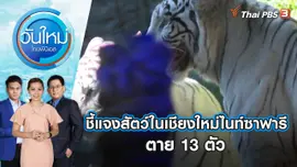 ชี้แจงสัตว์ในเชียงใหม่ไนท์ซาฟารีตาย 13 ตัว | วันใหม่ ไทยพีบีเอส | 12 ม.ค. 67