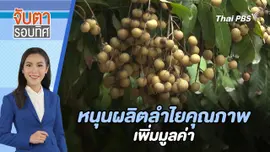หนุนผลิตลำไยคุณภาพ เพิ่มมูลค่า | จับตารอบทิศ | 25 ก.ค. 67