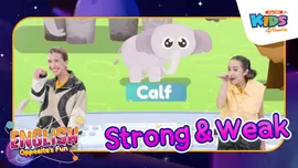 Strong&Weak