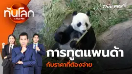 การทูตแพนด้ากับราคาที่ต้องจ่าย | 26 ก.ย. 67