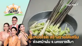 เก็บหน่อโจด สร้างรายได้เสริมช่วงหน้าฝน จ.นครราชสีมา | วันใหม่วาไรตี้ | 10 ต.ค. 67