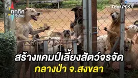 สร้างแคมป์เลี้ยงสัตว์จรจัดกลางป่า จ.สงขลา