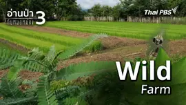 Wild Farm
