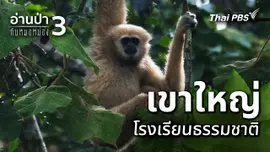เขาใหญ่ โรงเรียนธรรมชาติ
