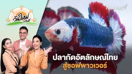 ปลากัดอัตลักษณ์​ไทยสู่ซอฟพาวเวอร์​ | วันใหม่วาไรตี้ | 17 มิ.ย. 68