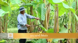 เฒ่านี้ ก็ดีแล้ว​