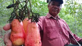 ประเด็นข่าว (29 พ.ค. 60)