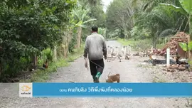 คนกับลิง วิถีพึ่งพิงที่คลองน้อย ​