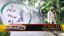 เดินตามครู