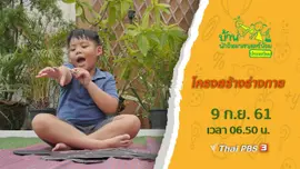 โครงสร้างร่างกาย