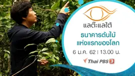 ธนาคารต้นไม้แห่งแรกของโลก