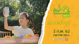แดดสะท้อนสี