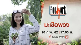 มะเขือพวง