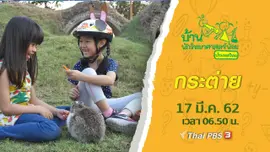 กระต่าย
