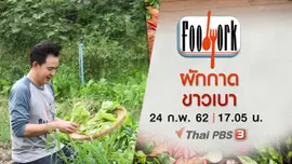 ผักกาดขาวเบา