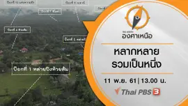 หลากหลายรวมเป็นหนึ่ง