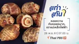 ความต่างของหอยหวานกับหอยหมาก, หลักการใช้เตาแม่เหล็กไฟฟ้า
