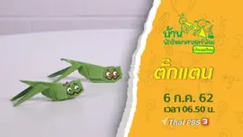ตั๊กแตน