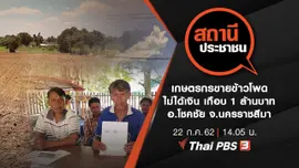 เกษตรกรขายข้าวโพดไม่ได้เงิน เกือบ 1 ล้านบาท อ.โชคชัย จ.นครราชสีมา