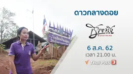 ดาวกลางดอย