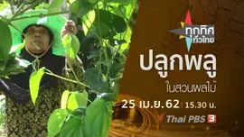 ประเด็นข่าว (25 เม.ย. 62)