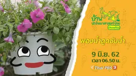 ฟองน้ำดูดซับน้ำ