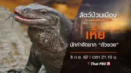 เหี้ย นักกำจัดซาก "ตัวซวย"