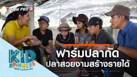 ฟาร์มปลากัด