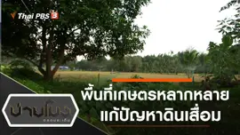ประเด็นข่าว (6 ธ.ค. 62)