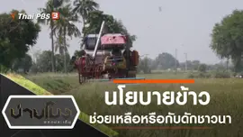 ประเด็นข่าว (19 ธ.ค. 62)