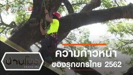 ประเด็นข่าว (25 ธ.ค. 62)