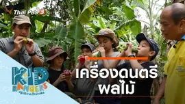เครื่องดนตรีผลไม้