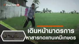 ประเด็นข่าว (25 ต.ค. 62)