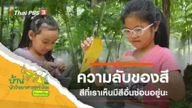 ความลับของสี