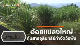 ประเด็นข่าว (29 ต.ค. 62)