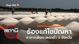 ร้องแก้ไขปัญหาราคาเกลือทะเลตกต่ำ 3 จังหวัด