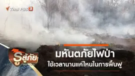 มหันตภัยไฟป่า